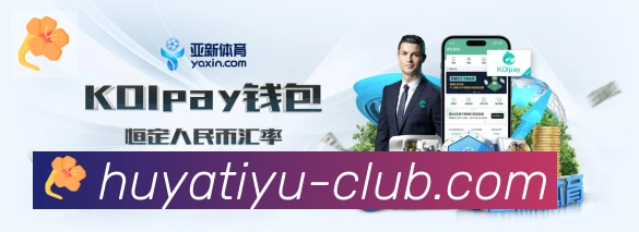 互动解说服务